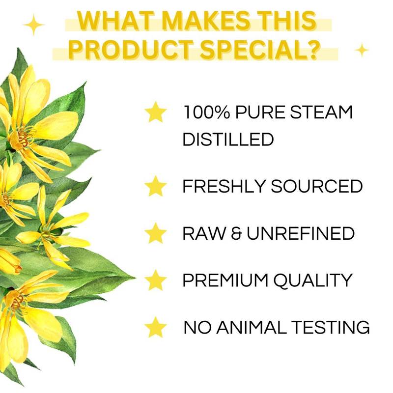 100% Pure Ylang Ylang Essential Oil - Therapeutic Grade Aromatherapy Oil - 15ml 5 100% Pure Ylang Ylang Essential Oil - Therapeutic Grade Aromatherapy Oil - 15ml - Image 4